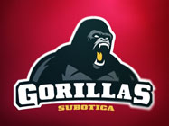 Gorillas Subotica